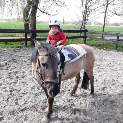 Unser Pony Hexe