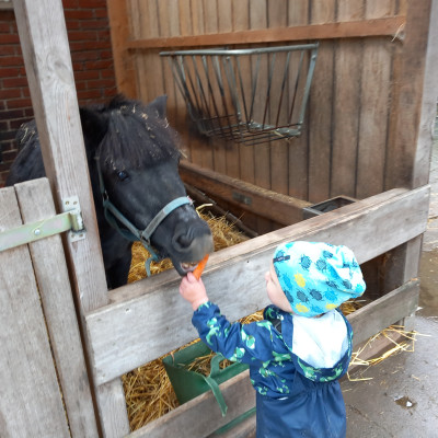 Unser Pony Jeany